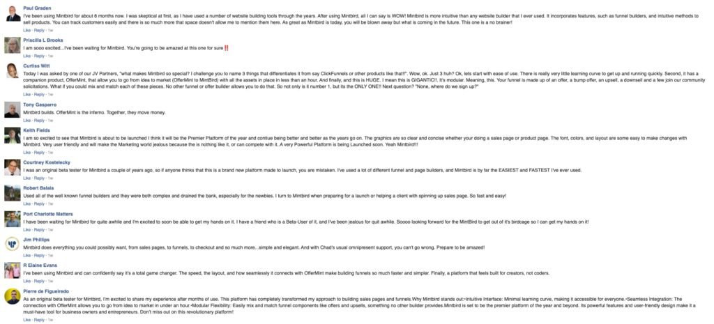 mintbird reviews