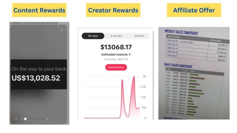 Hybrid Income Protocol Review: Get Paid To Post Short Clips?