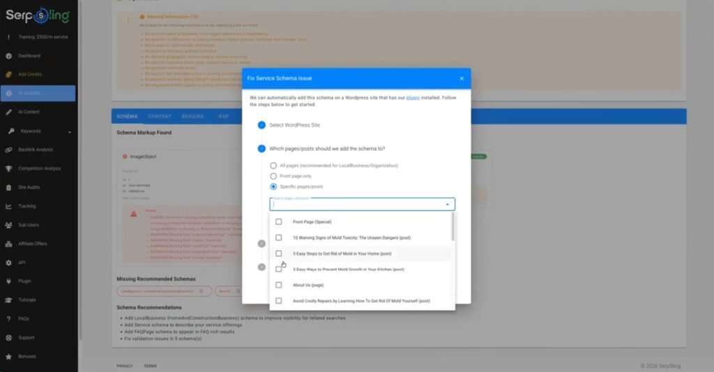 SerpSling Ai fixing ai schema
