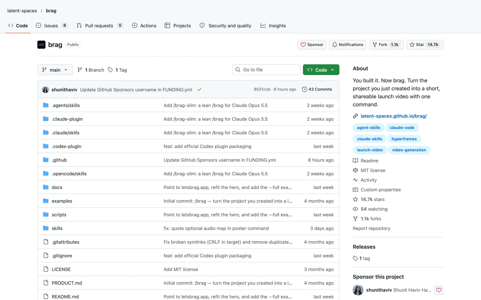 Brag skill on GitHub (latent-spaces/brag)